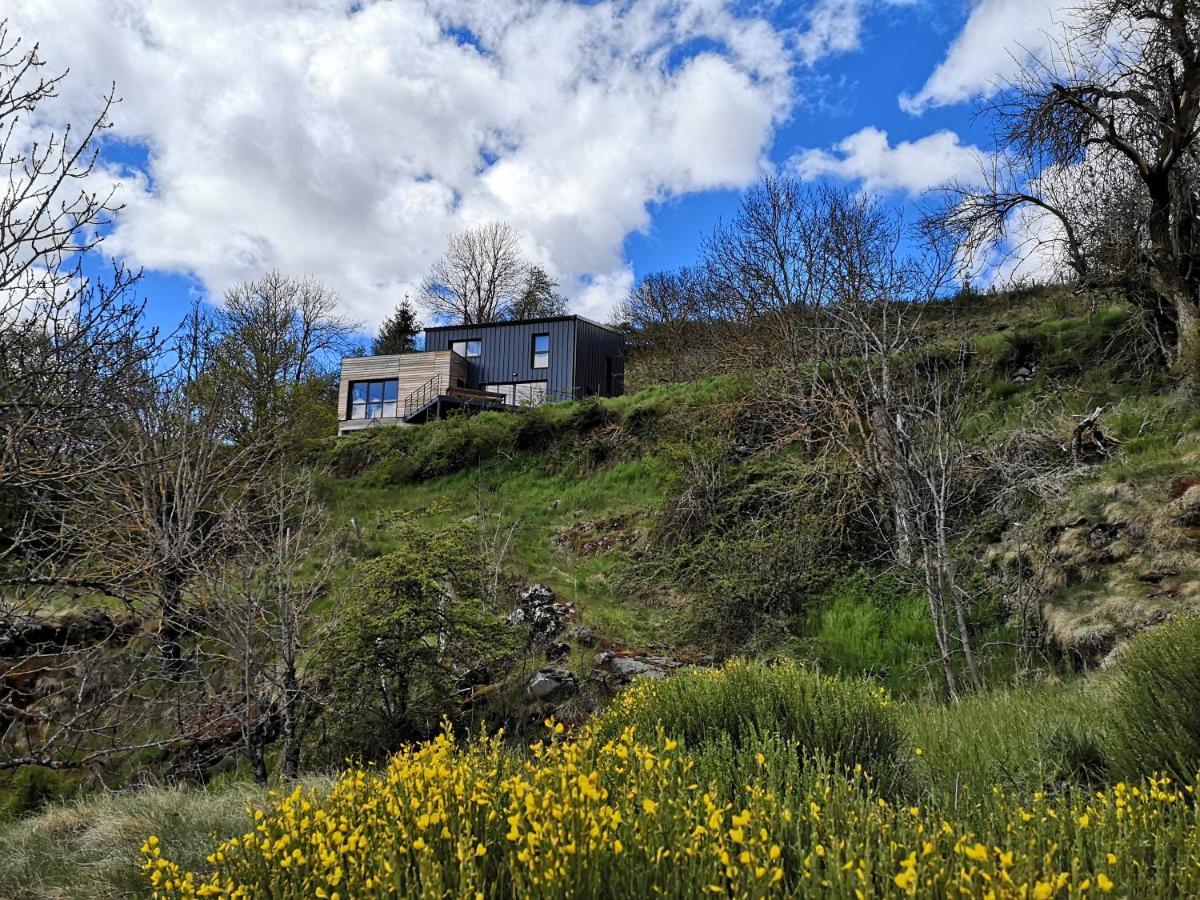 Maison D'Architecte En Pleine Nature Arlempdes Eksteriør bilde